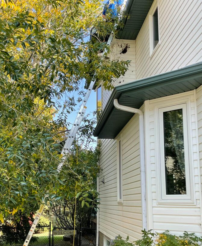 Gutter Cleaning in Edmonton